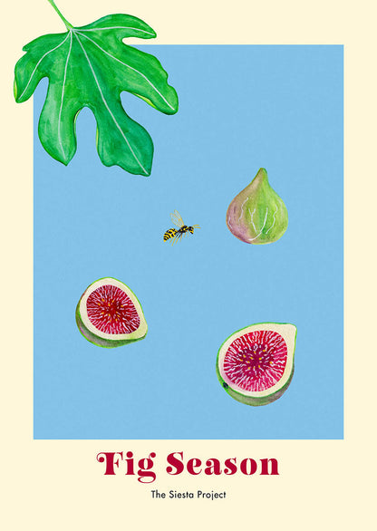 Illustration of figs, a leaf, and a wasp on a blue background with 'Fig Season' text.
