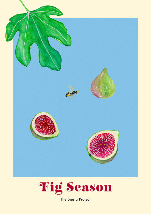 Illustration of figs, a leaf, and a wasp on a blue background with 'Fig Season' text.