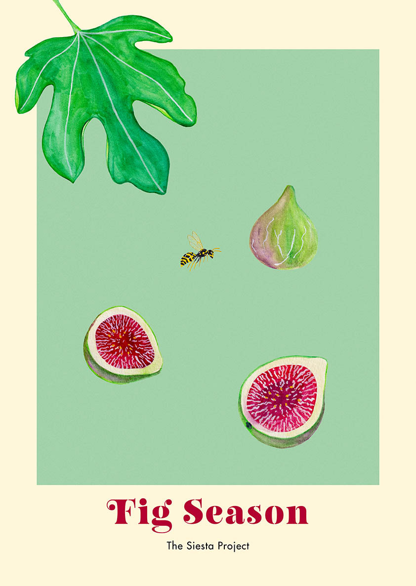 Art Print of figs, a wasp and a leaf on a green background with the text "Fig Season"