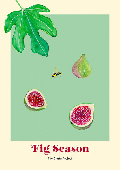 Art Print of figs, a wasp and a leaf on a green background with the text "Fig Season"