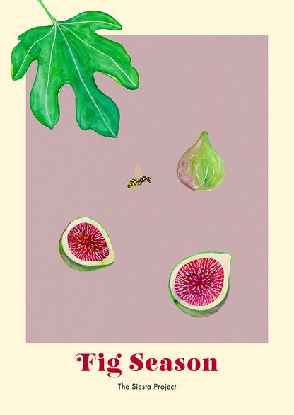 Art Print with figs, a leaf and a wasp on a purple background with the text Fig season.