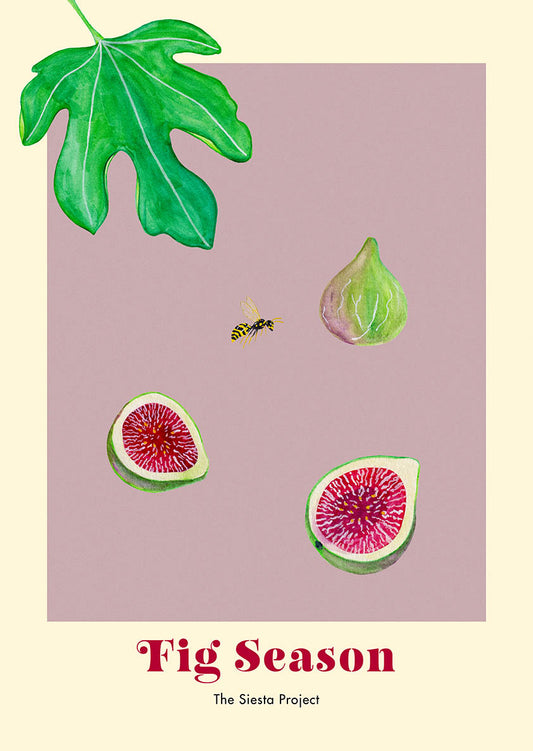Art Print with figs, a leaf and a wasp on a purple background with the text Fig season.