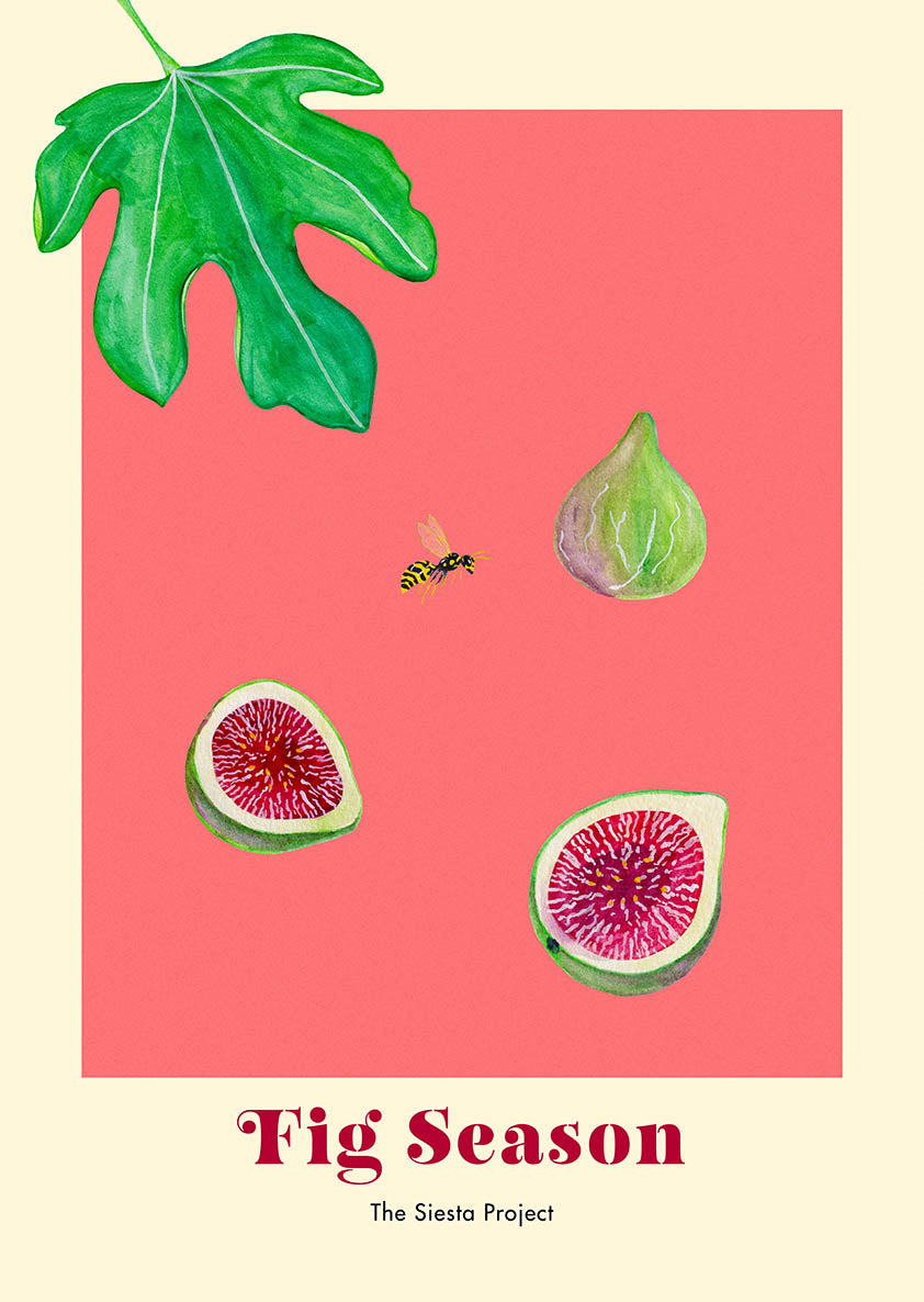 Illustration of figs, a leaf, and a wasp on a pink background with 'Fig Season' text.