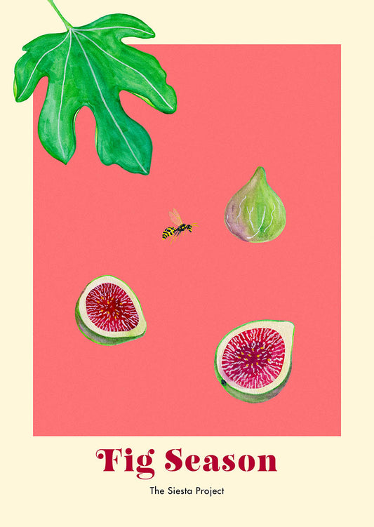 Illustration of figs, a leaf, and a wasp on a pink background with 'Fig Season' text.