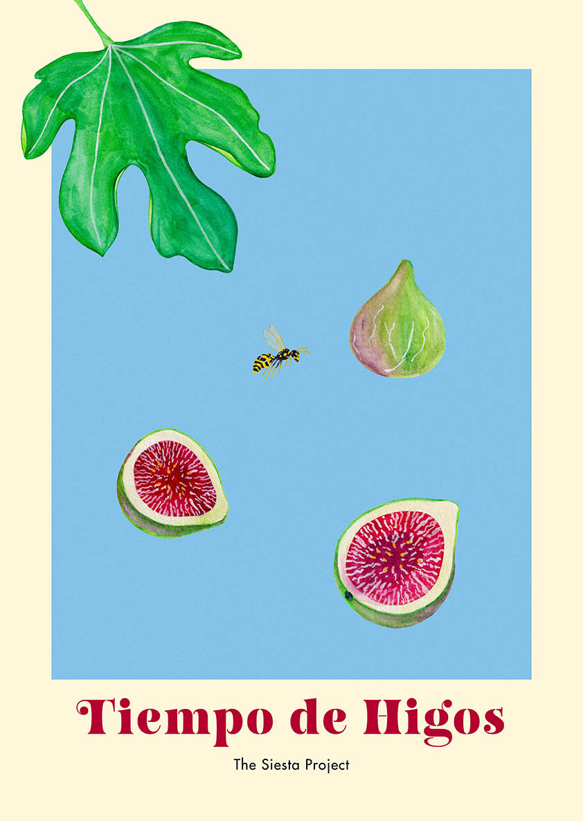 Illustration of figs, a leaf, and a wasp on a blue background with 'Tiempo de Higos' text.
