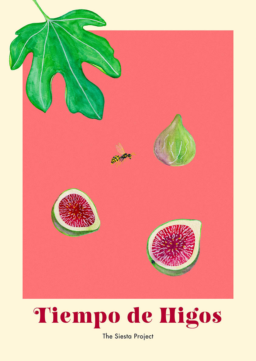 Illustration of figs, a leaf, and a wasp on a red/pink background with 'Tiempo de Higos' text.